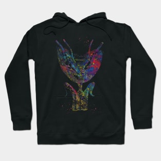 Bladder and urethra Hoodie